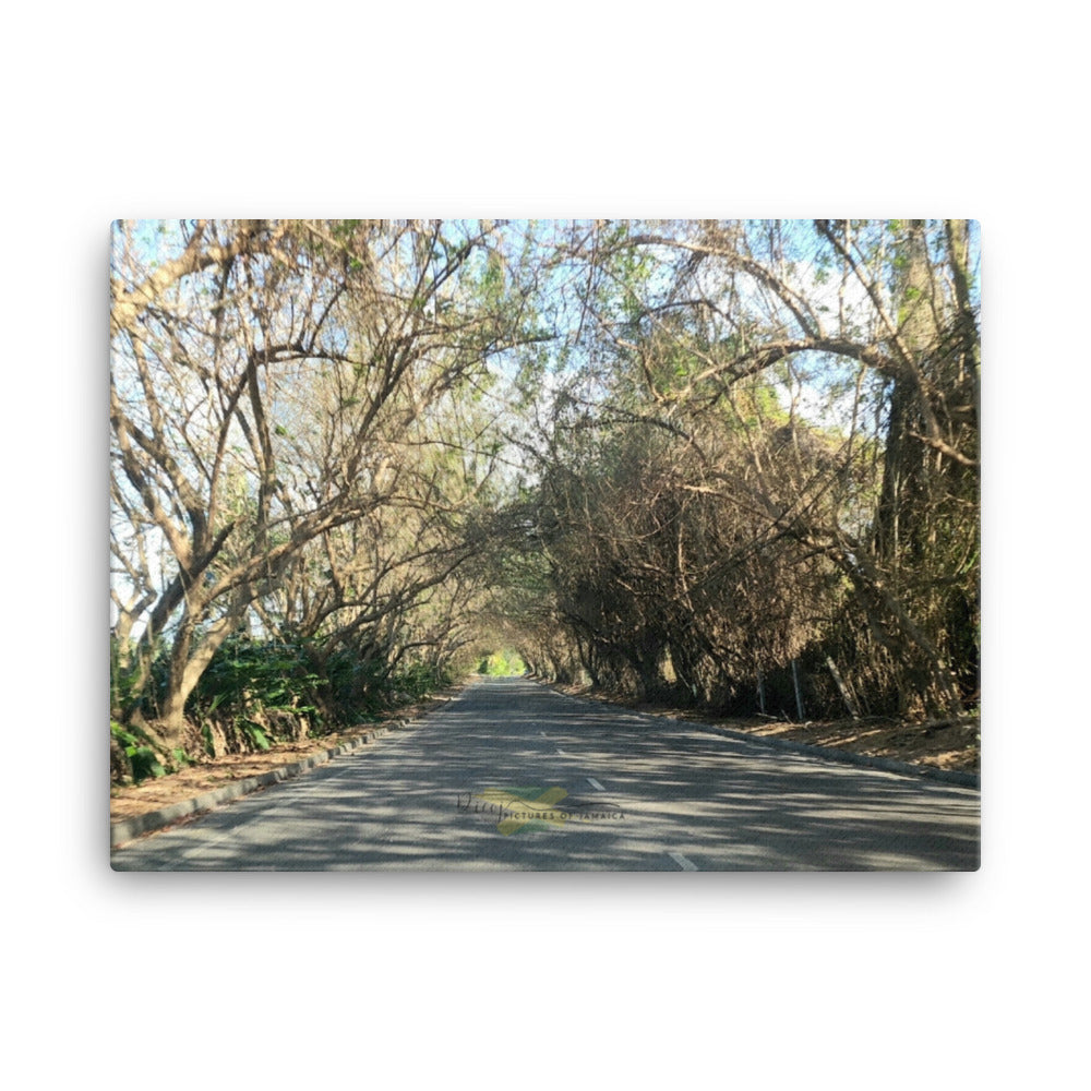 The Golden Archway (Canvas) - Picture of Jamaica