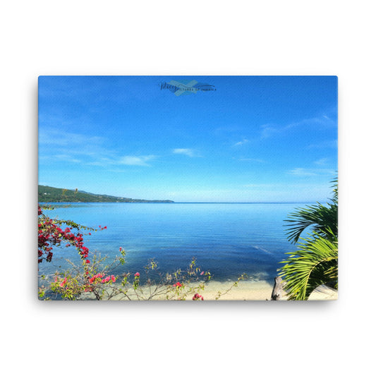 In My Garden (Canvas) - Picture of Jamaica