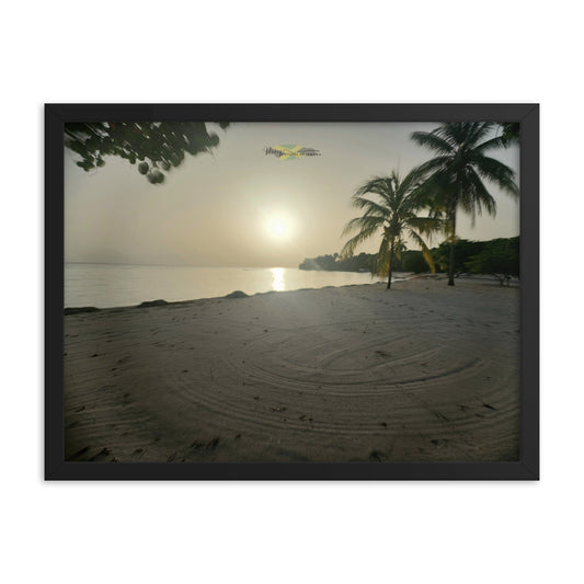 Sand Circles - Picture of Jamaica