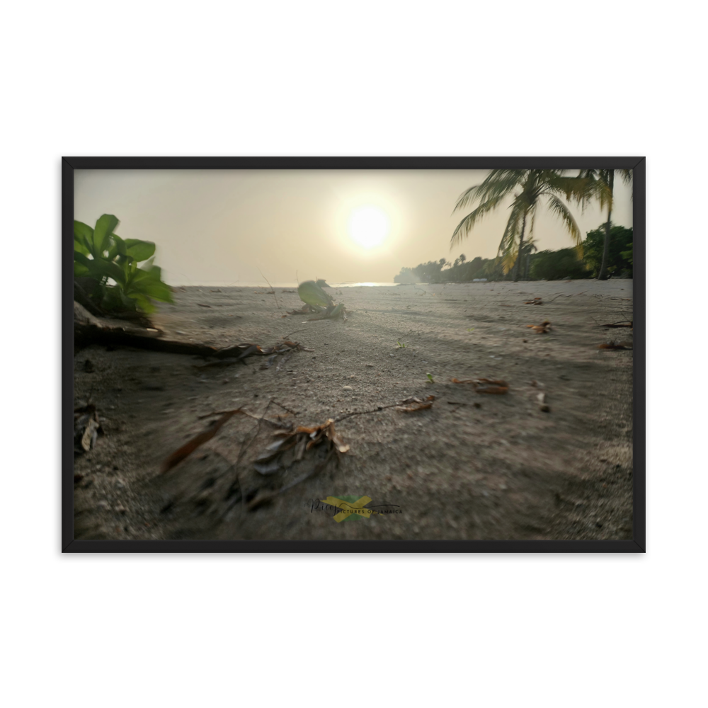 A Crab's Eye View - Picture of Jamaica